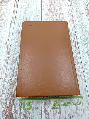 Железный король. Узница Шато-Гайара