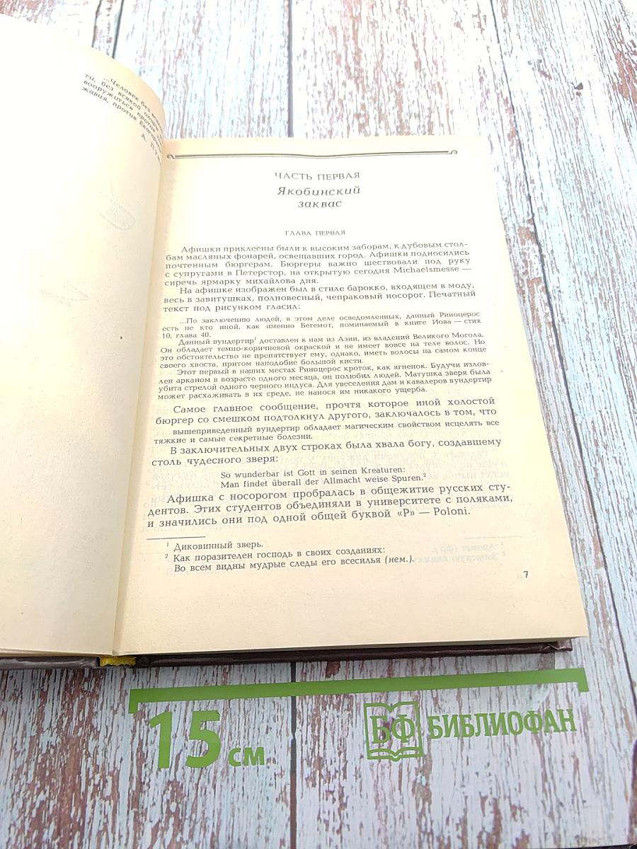 Радищев. Михайловский замок