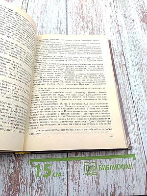 Радищев. Михайловский замок