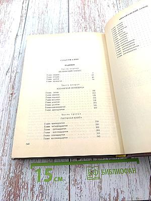 Радищев. Михайловский замок