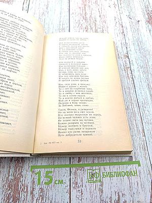 Путешествие в страну Поэзия. Книга 1