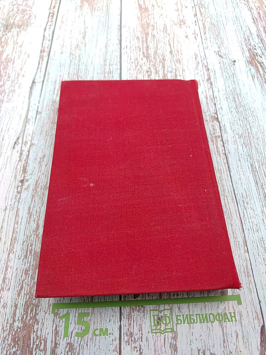 Сказки. Истории