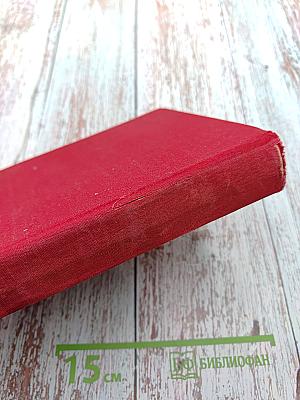 Сказки. Истории