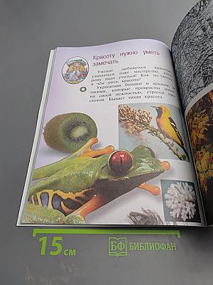 Изобразительное искусство. 1 класс