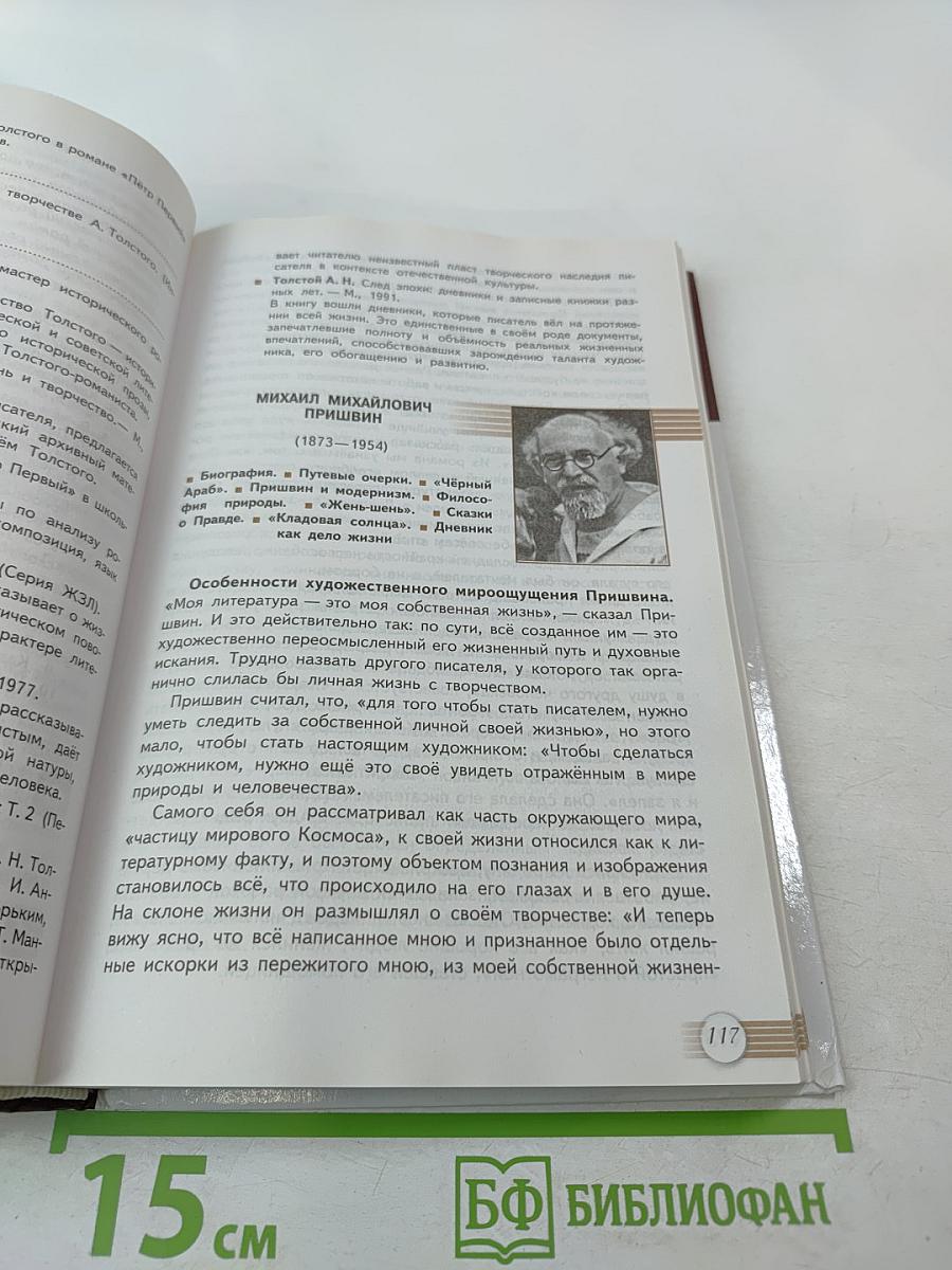 Русский язык и Литература. Литература. 11 класс, Базовый уровень, 2 часть