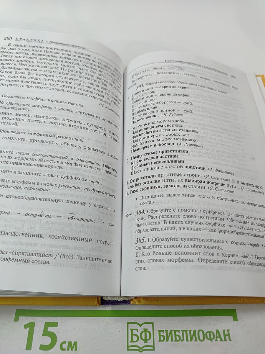 Русский язык 10-11 классы