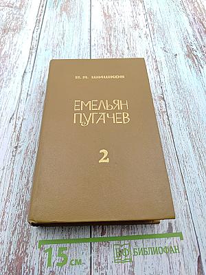 Емельян Пугачев. Книга 2
