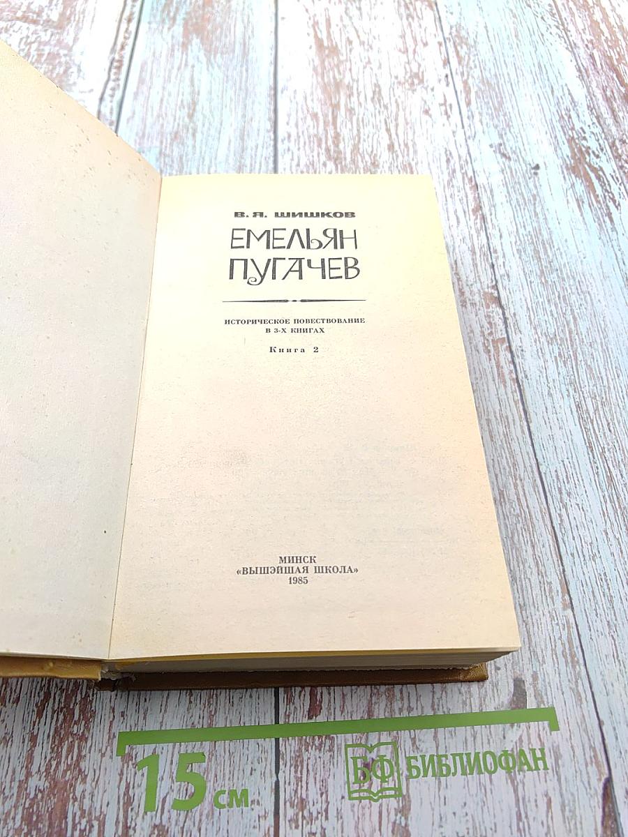Емельян Пугачев. Книга 2