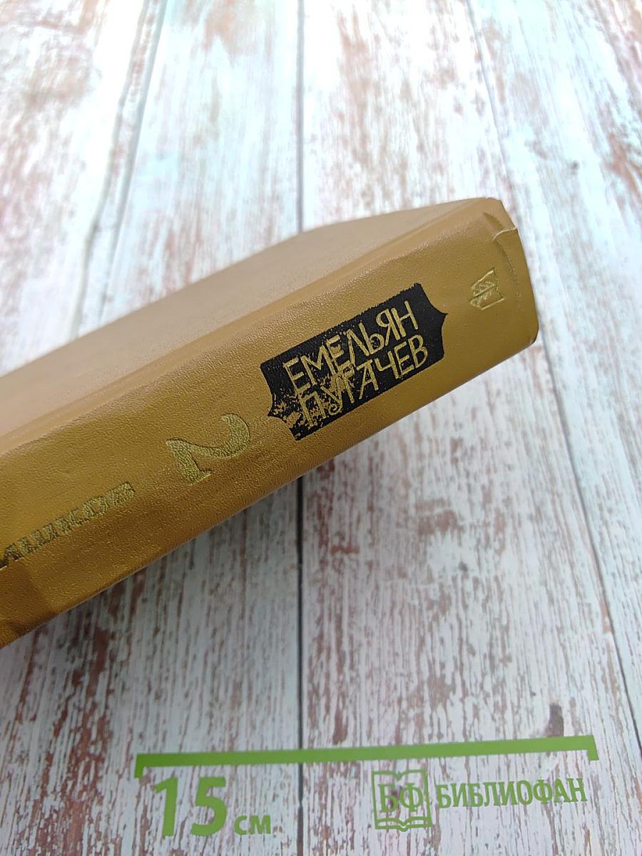 Емельян Пугачев. Книга 2