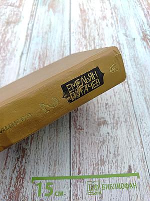 Емельян Пугачев. Книга 2