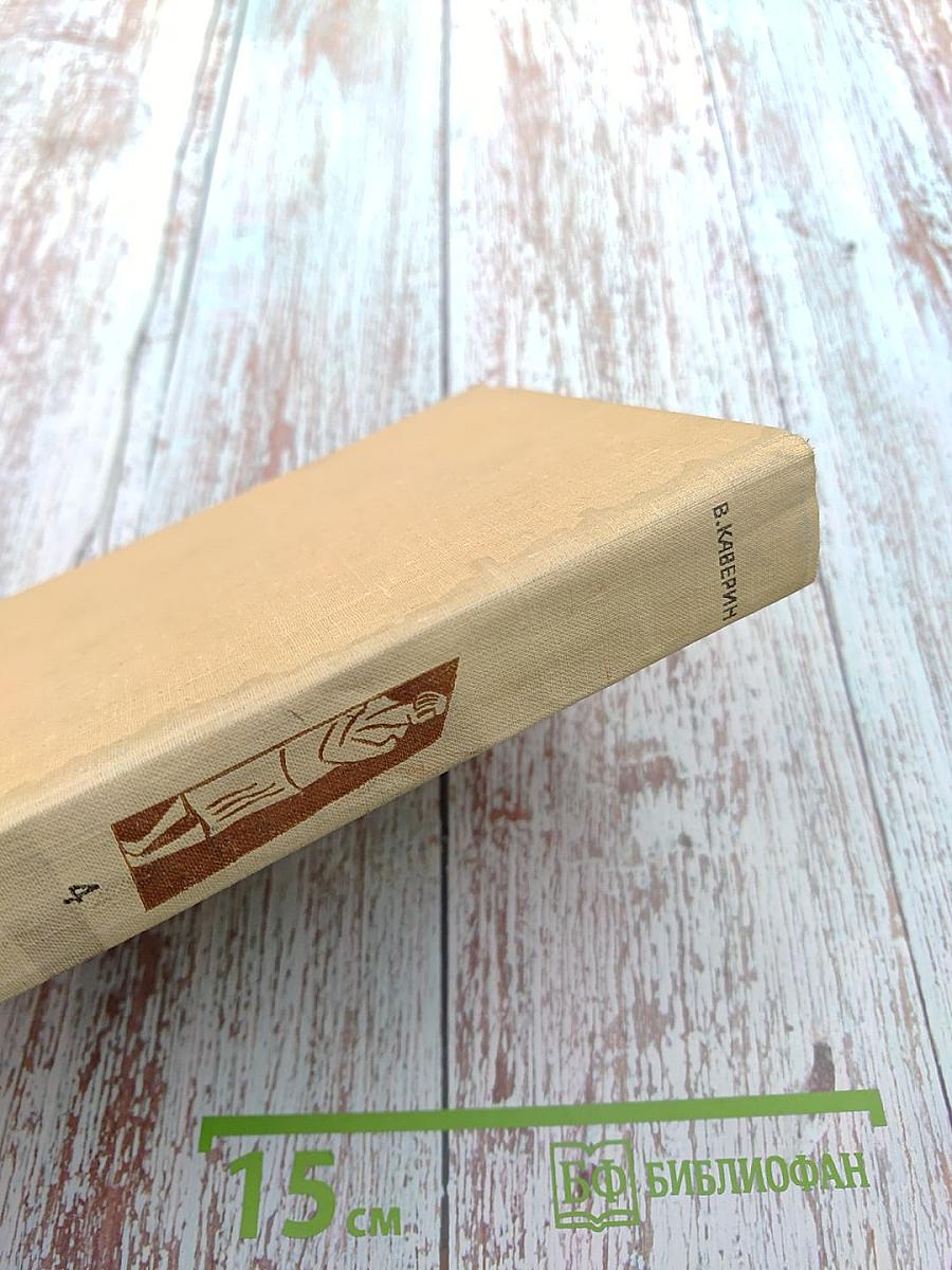 Собрание сочинений в шести томах. Том четвертый. Открытая книга. Юность. Новинки