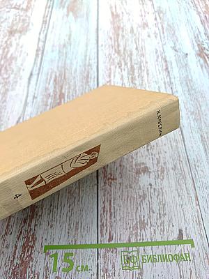 Собрание сочинений в шести томах. Том четвертый. Открытая книга. Юность. Новинки