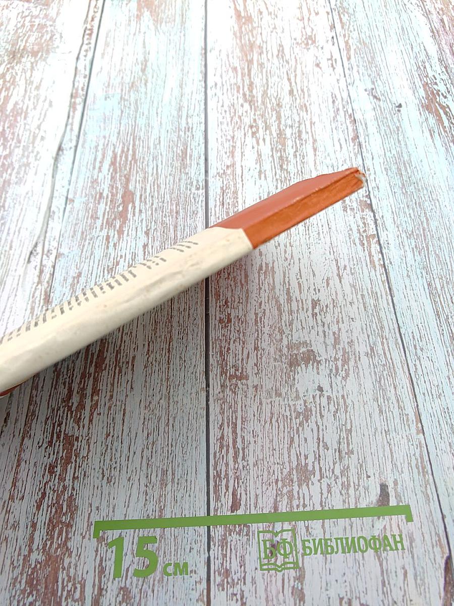 Презумпция невиновности