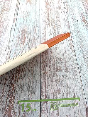 Презумпция невиновности