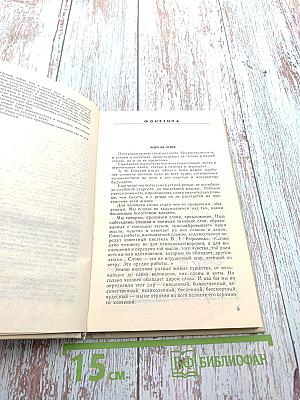 Занимательно о русском языке