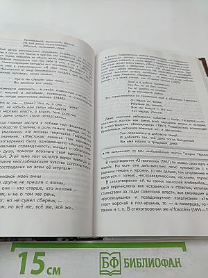 Русский язык. Литература. 11 класс. Базовый уровень. В 2 частях. Часть 2