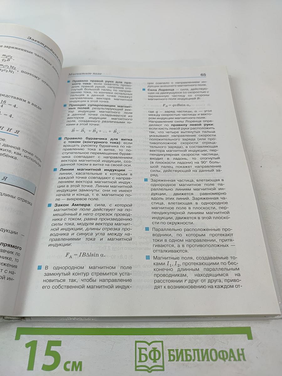 Физика 11 класс. Базовый уровень