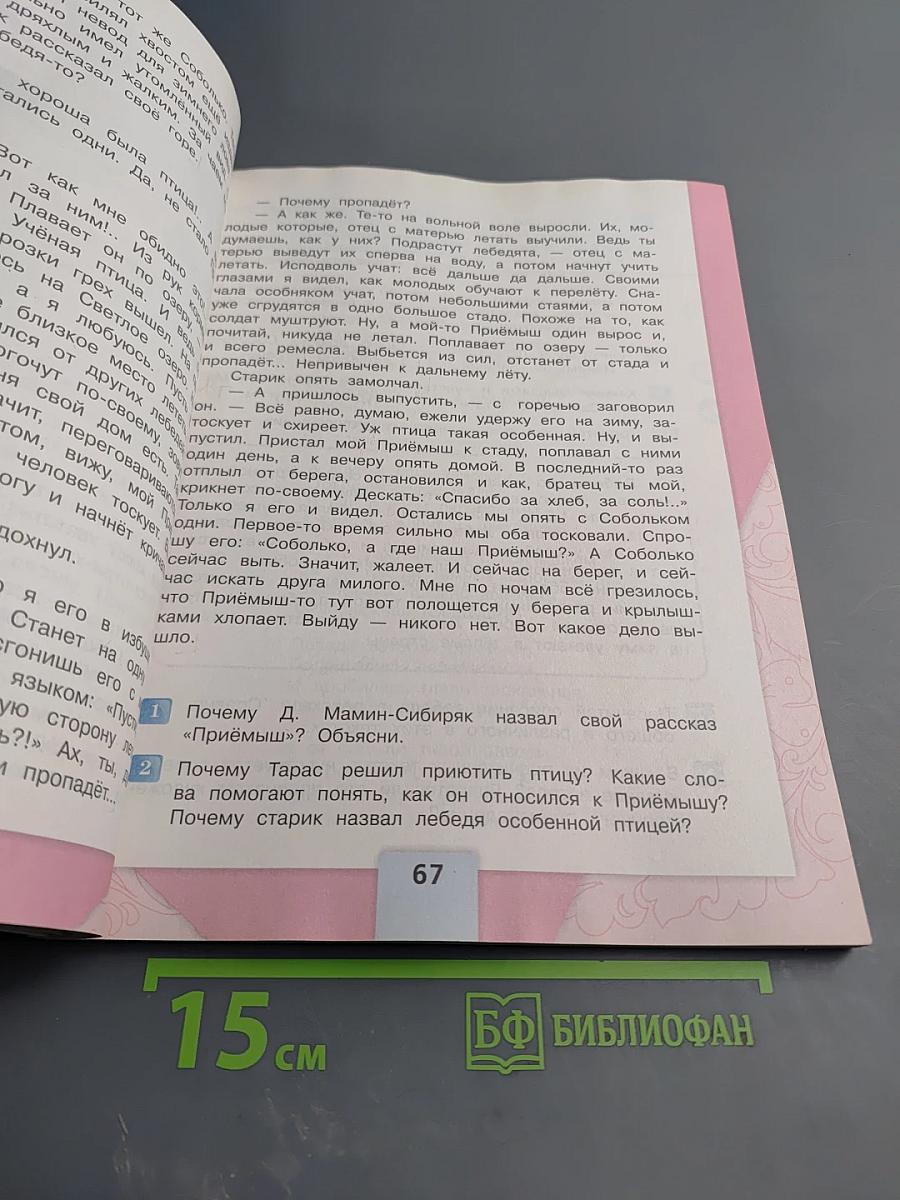 Литературное чтение. 4 класс. Часть 2