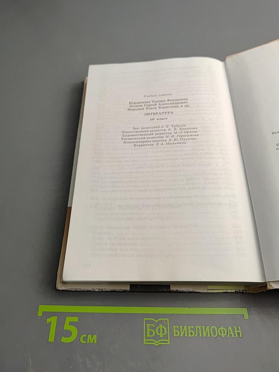 Литература 10 класс