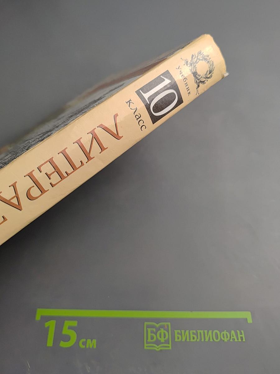 Литература 10 класс