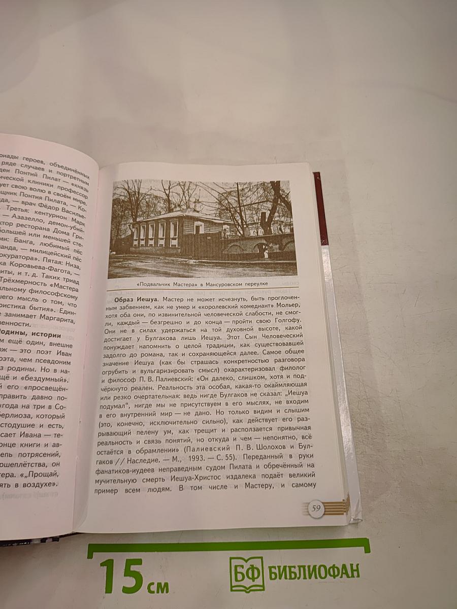 Русский язык и литература. Литература. 11 класс. Базовый уровень. 2 часть