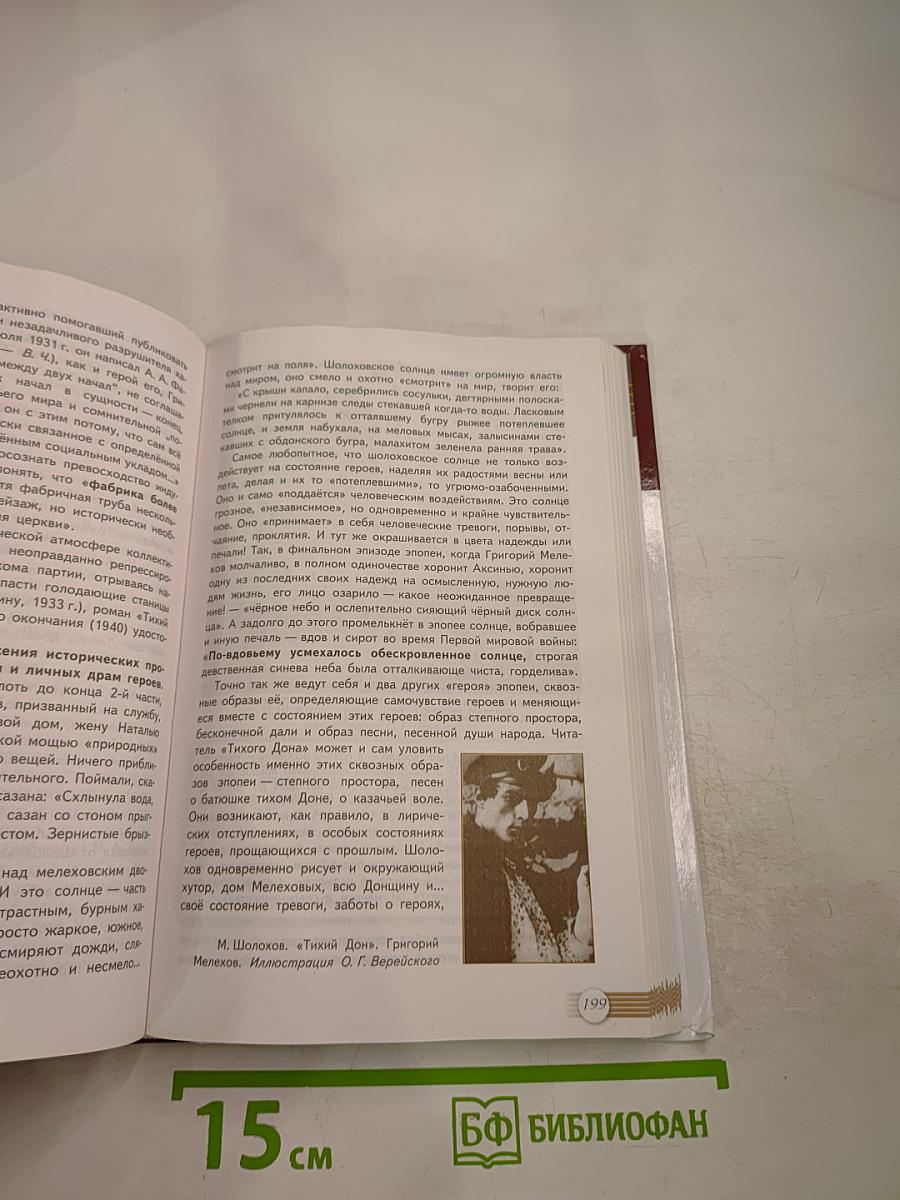 Русский язык и литература. Литература. 11 класс. Базовый уровень. 2 часть