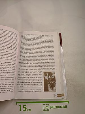 Русский язык и литература. Литература. 11 класс. Базовый уровень. 2 часть