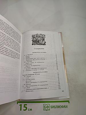 Литература. 9 класс. Учебник-хрестоматия. Часть 2