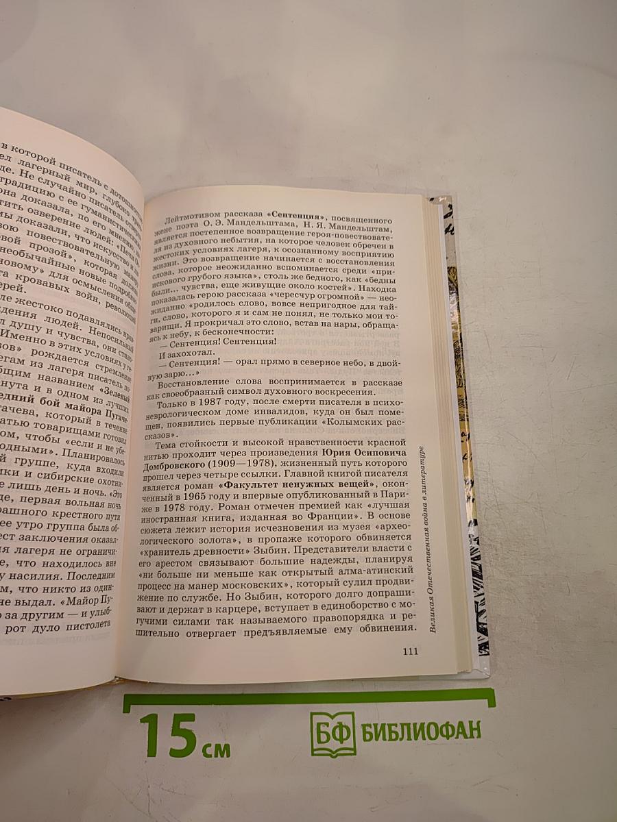 Литература 11 класс Часть вторая