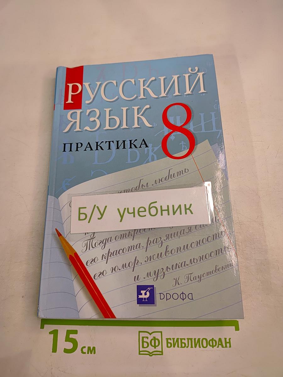 Русский язык. Практика. 8 класс