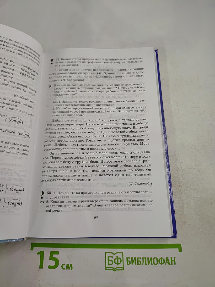 Русский язык. Практика. 8 класс