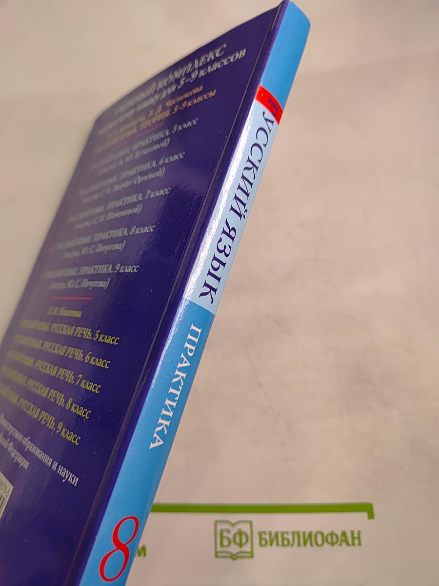 Русский язык. Практика. 8 класс