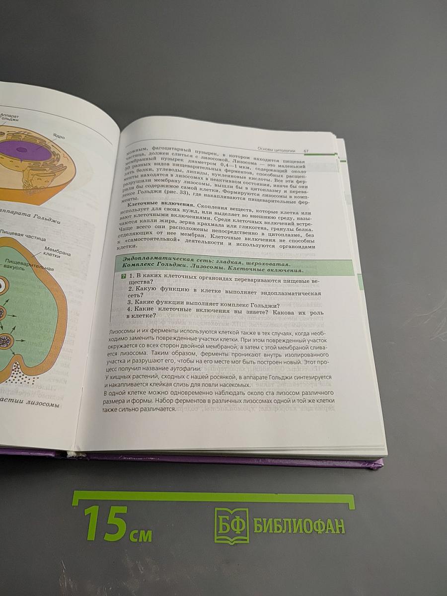 Биология. Общая биология. 10-11 классы