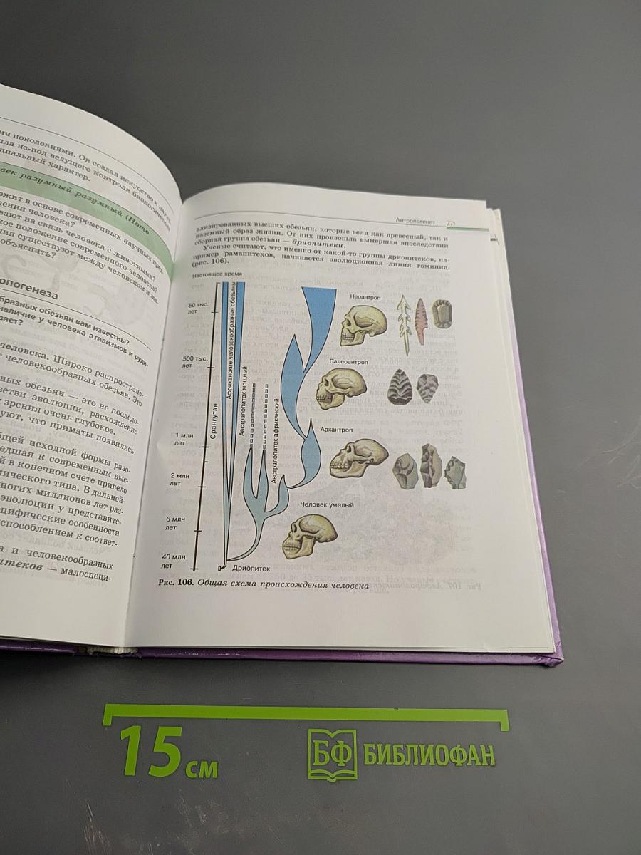 Биология. Общая биология. 10-11 классы