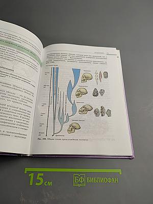 Биология. Общая биология. 10-11 классы