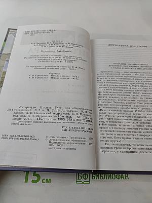 Литература, 11 класс, Часть 2