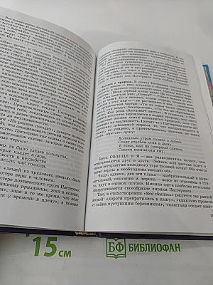 Литература, 11 класс, Часть 2