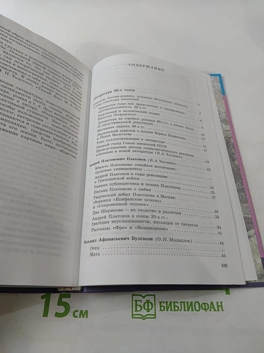 Литература, 11 класс, Часть 2