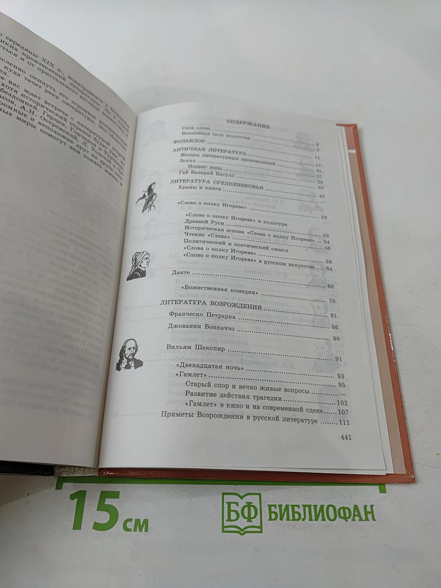 Литература 9 класс