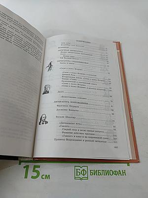 Литература 9 класс