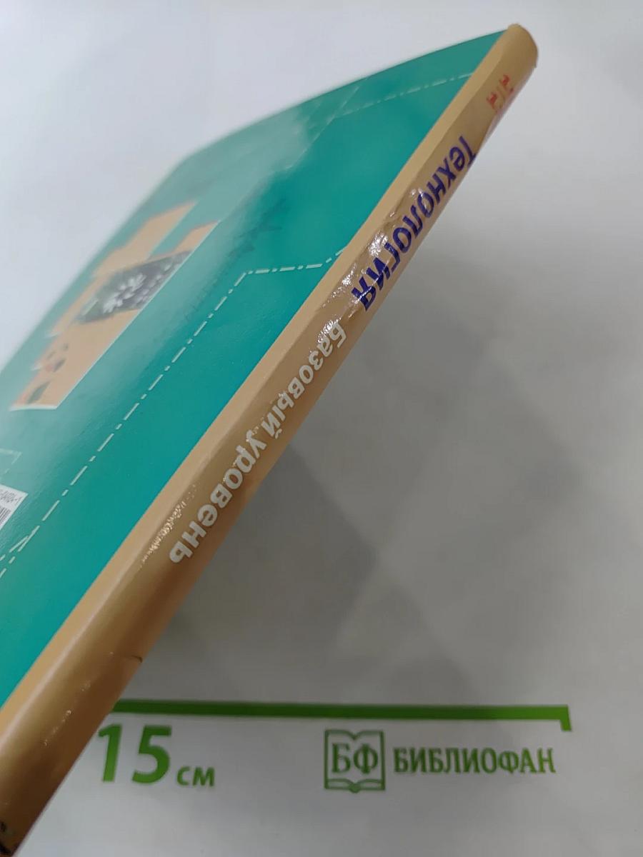 Технология 10-11 классы Базовый уровень