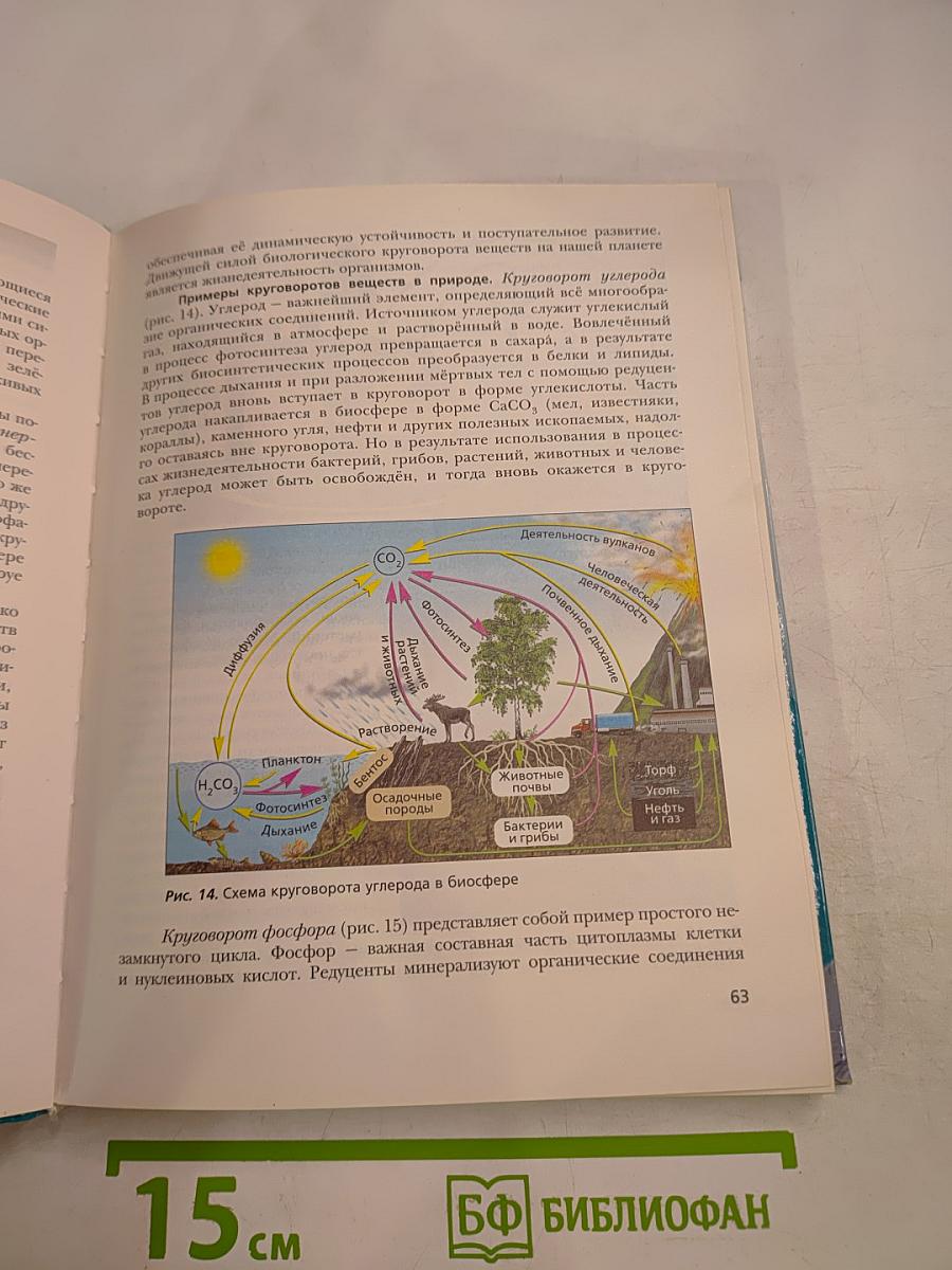 Биология. 10 класс. Базовый уровень