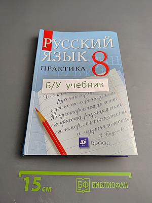 Русский язык. Практика. 8 класс