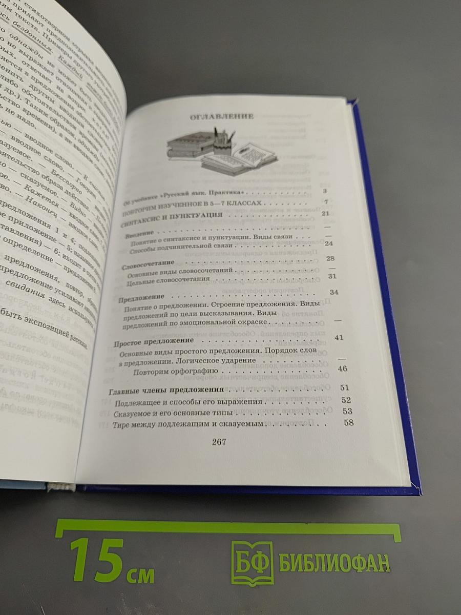 Русский язык. Практика. 8 класс