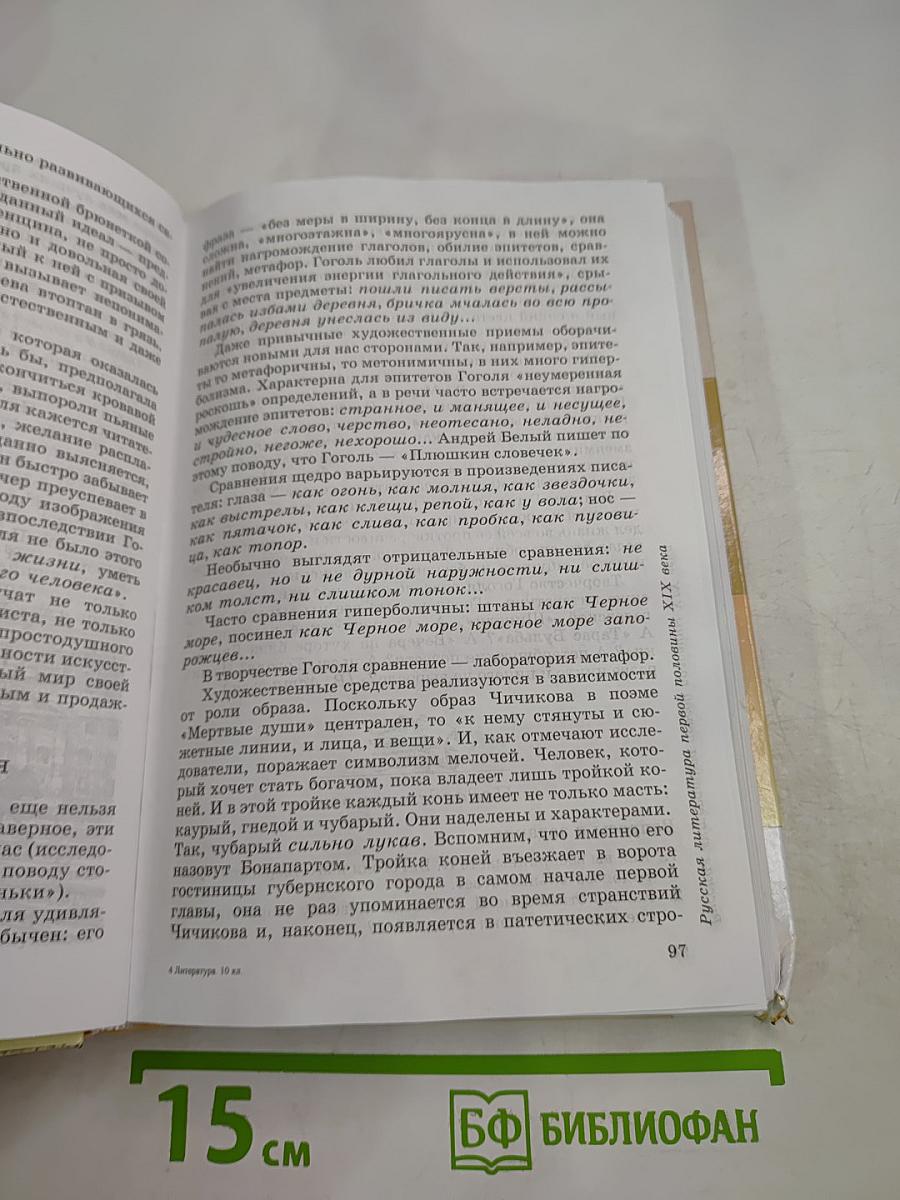 Литература 10 класс