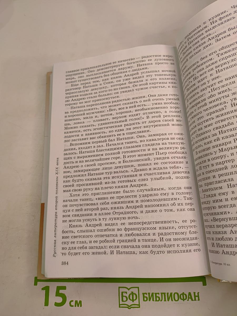 Литература 10 класс