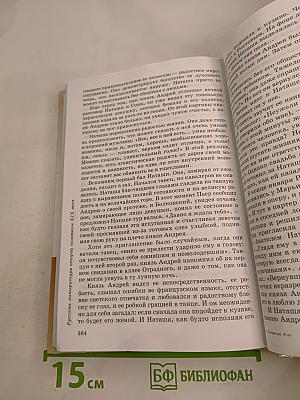 Литература 10 класс