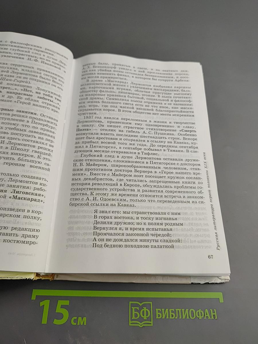 Литература 10 класс