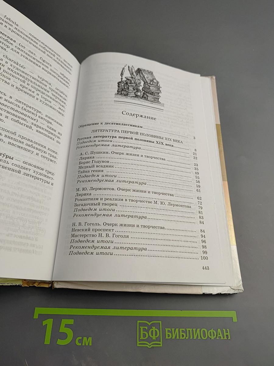 Литература 10 класс