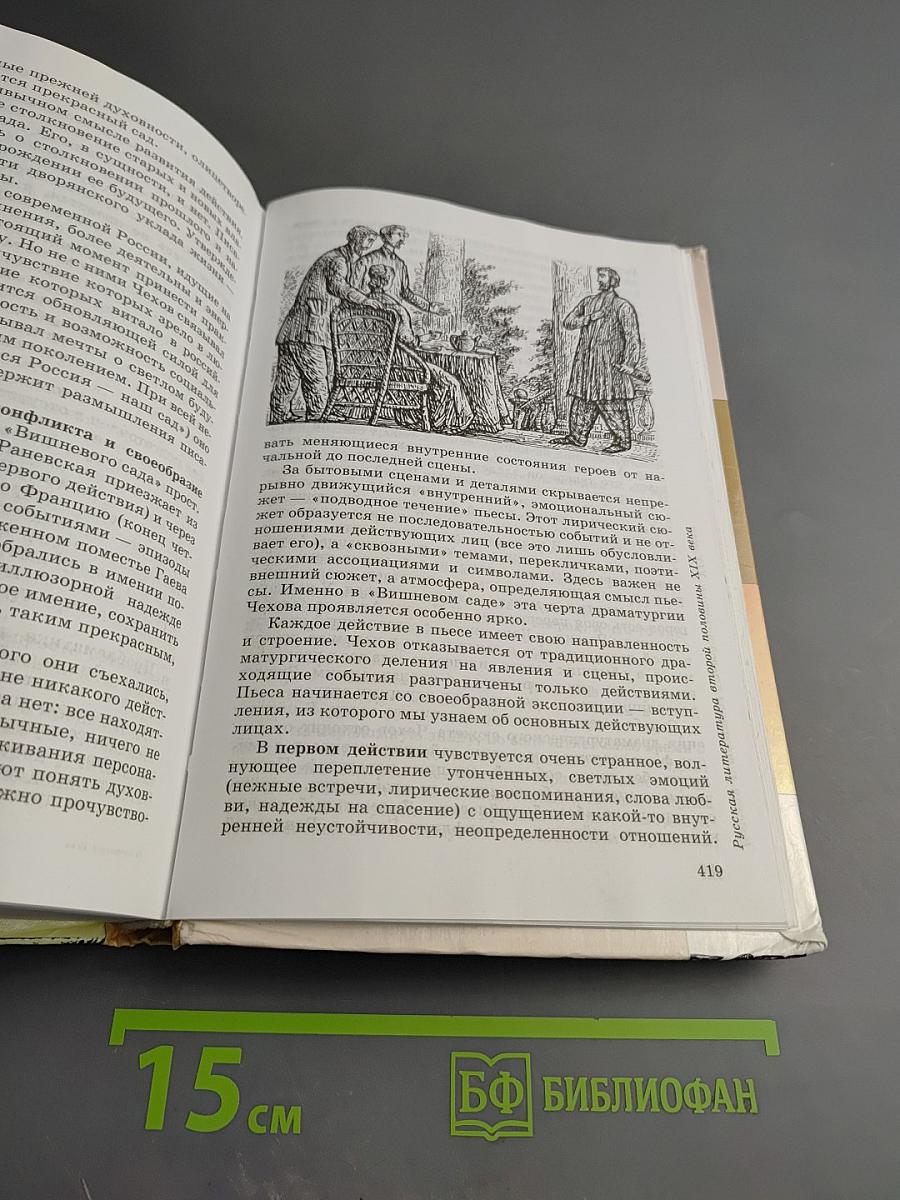 Литература 10 класс